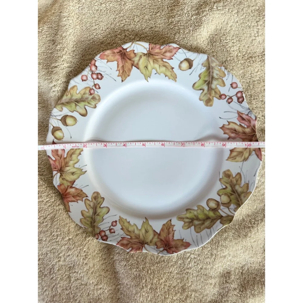NOS Pier 1 Imports Mazey Critters Porcelain Dinner Plate 10 1/2” Never Used